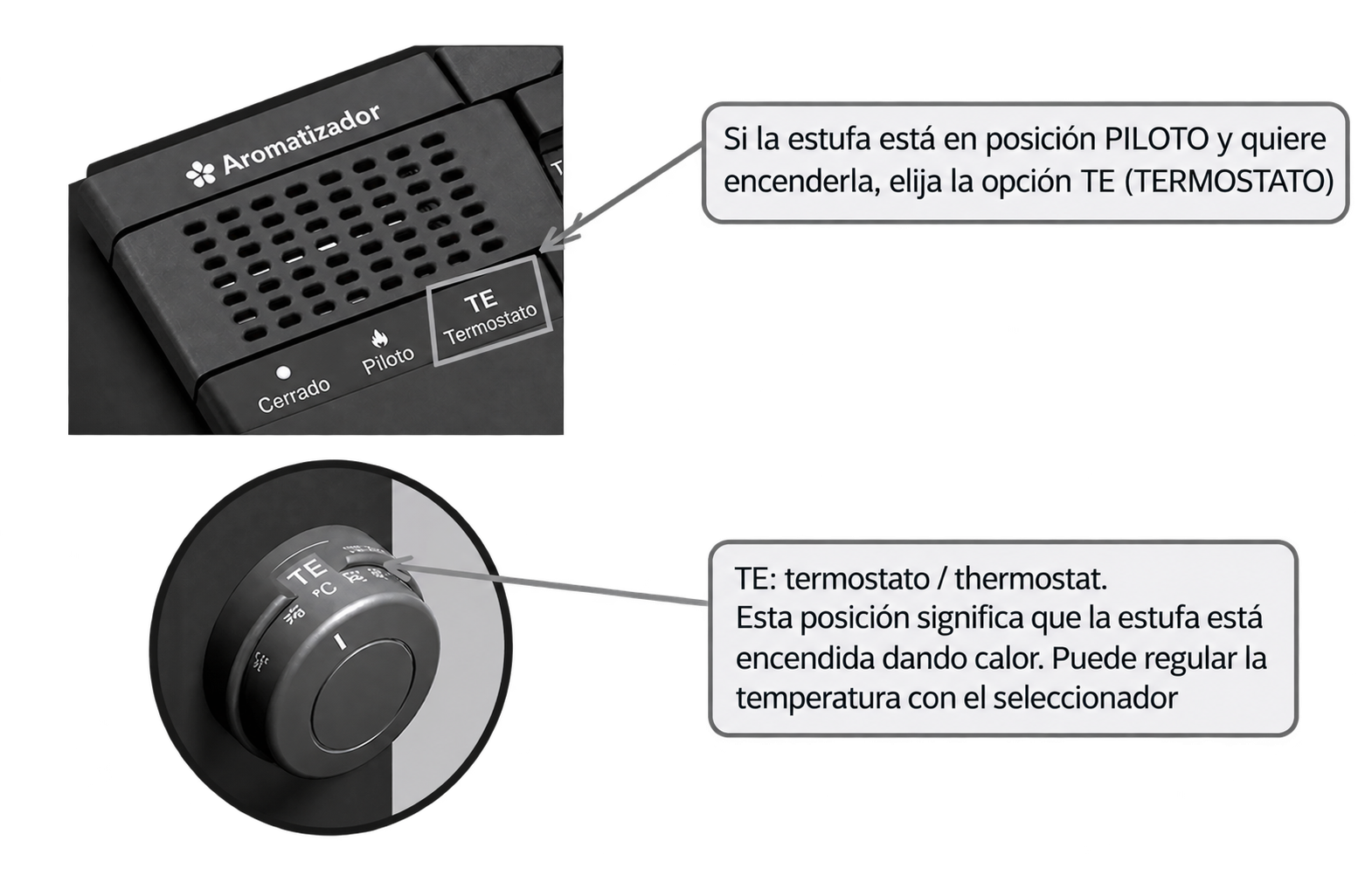 Estufa planta baja